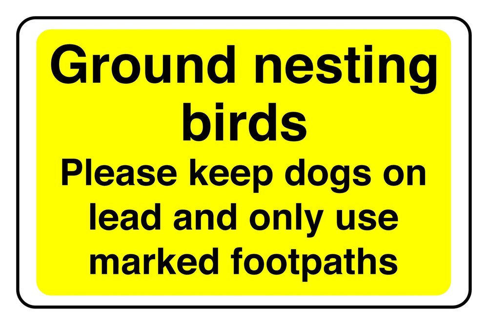Ground Nesting Birds Please Keep Dogs on Lead and Only Use Marked Footpaths sign in use